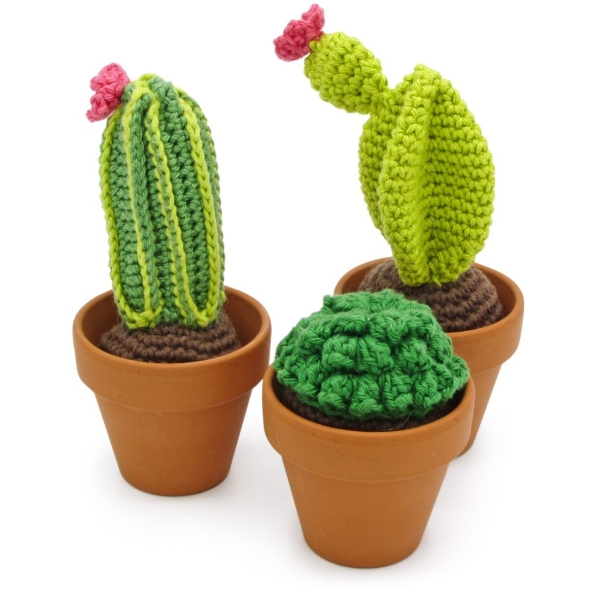 Kit crochet  cactus